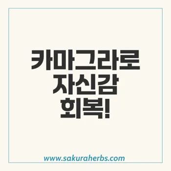 카마그라발포정, 발기 부전 완화의 새로운 해결책