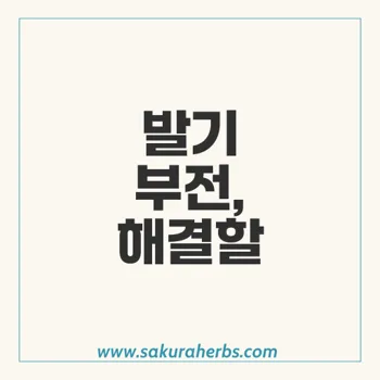 카마그라츄어블: 발기 부전 치료의 새로운 선택지