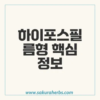 하이포스필름형 발기 부전 치료제의 효과와 복용법 알아보기