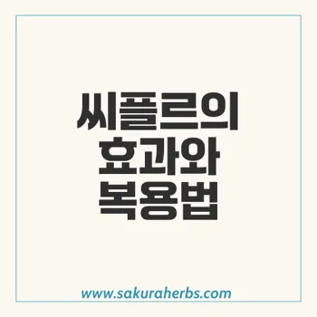 씨플르: 고혈압 및 협심증 치료를 위한 효과적인 β-수용체 차단제