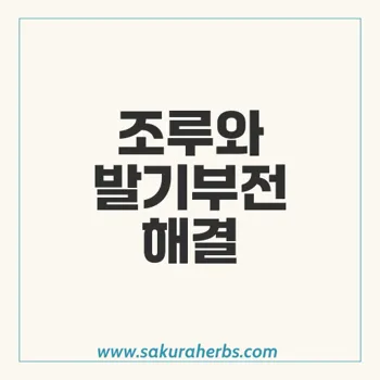 엑스트라 슈퍼 아바나: 발기부전과 조루 치료의 혁신적인 선택