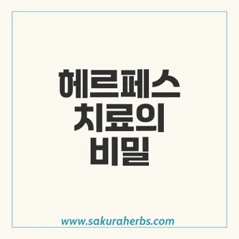 아시버: 효과적인 헤르페스 바이러스 치료제 알아보기