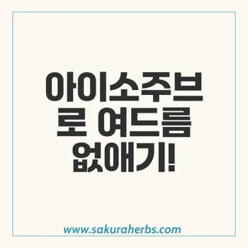 아이소주브 여드름 치료법: 이소트레티노인과 부작용 대처법 완벽 가이드