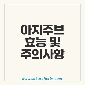 아지주브: 아지트로마이신의 효능과 사용 주의사항