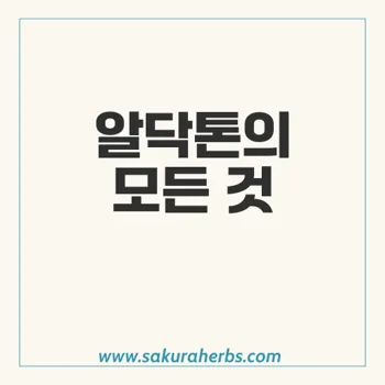 알닥톤: 주요 병용 금기 약물 및 정보 총정리