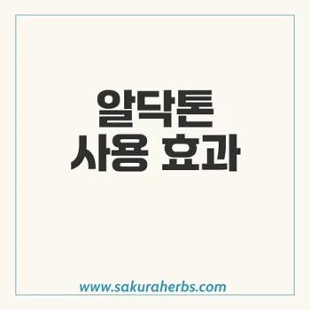 알닥톤: 스피로노락톤의 효능과 사용자 후기 완벽 가이드