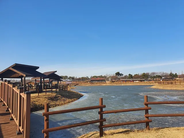 에프페시아: 탈모약 직구 후기 및 효과 검증, 20개월 사용기