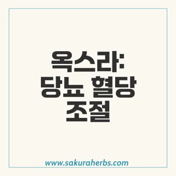 옥스라: 제2형 당뇨병 혈당 조절을 위한 혁신적 치료제