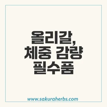 올리갈: 체중 감소와 비만 관리의 최적 솔루션으로서의 가치