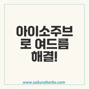 아이소주브 여드름 치료: 부작용 예방과 효과적인 대처법 소개