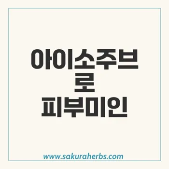 아이소주브 이소트레티노인: 여드름 치료제 최고의 선택과 효과