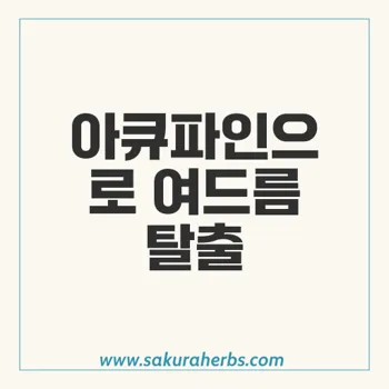 아큐파인 여드름 치료: 안전하고 효과적인 방법으로 중증 여드름 개선하기