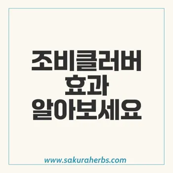 조비클러버: 항바이러스 약물로 헤르페스, 대상포진, 수두 치료