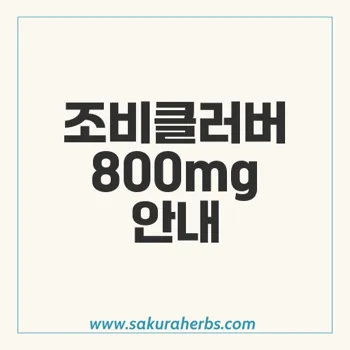 조비클러버 800mg: 효과적 항바이러스 치료제 및 복용법 안내