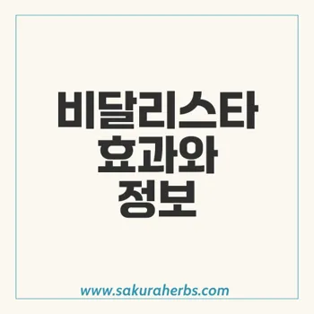 비달리스타 10mg: 발기부전 치료의 새로운 해답