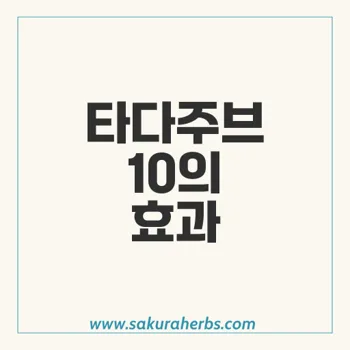 타다주브: 효과적인 발기부전 치료제의 모든 것