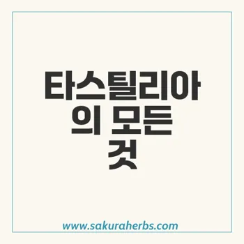 타스틸리아: 조루 방지 및 발기부전 개선의 혁신적 혼합물