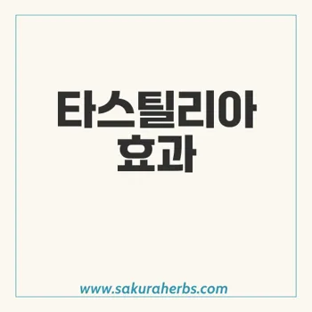 타스틸리아: 발기부전 및 양성 전립선 비대증 치료의 핵심 약물