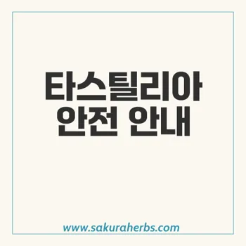 타스틸리아로 발기부전치료의 효과와 안전성 분석