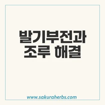 슈퍼 비달리스타: 발기부전과 조루 치료의 혁신적 솔루션