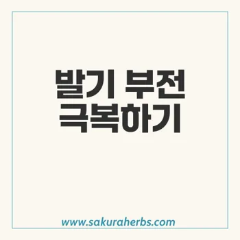 엑스트라 슈퍼 타다라이즈: 발기 부전과 조루 치료의 새로운 솔루션