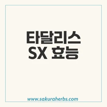 타달리스 SX: 발기부전 치료의 새로운 대안과 효과