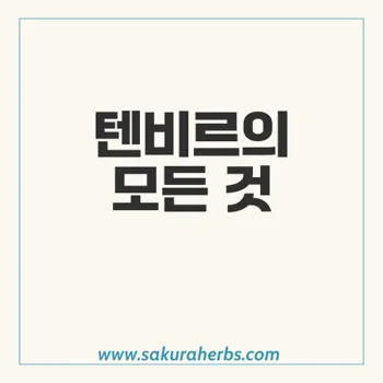 텐비르의 효능과 부작용: 간염 치료의 중요한 정보