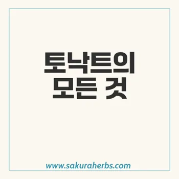 토낙트: 아토르바스타틴과 에제티미브 복합제의 효능과 안전성