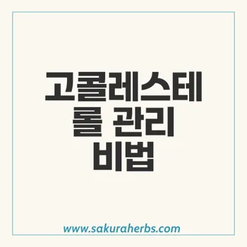 토낙트: 아토르바스타틴으로 고콜레스테롤 관리하는 방법