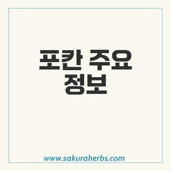 포칸: 플루코나졸의 주요 사용법 및 부작용 정리