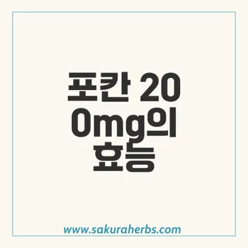 포칸 200mg: 효과적인 항진균제 플루코나졸의 모든 것