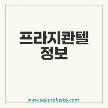 프라지콴텔: 기생충 감염 치료의 필수 약물의 모든 것