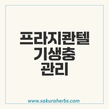 프라지콴텔: 한국 기生충 관리 혁신의 이정표와 효과 분석