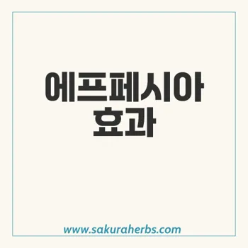 에프페시아, 모발이식 효과 및 후기 분석하기