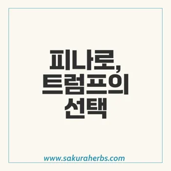 피나로 탈모약 트럼프 복용법과 효과, 부작용 완벽 가이드