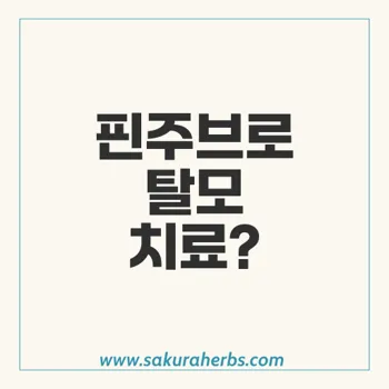 핀주브: 저렴한 탈모약의 진실과 효과, 복용 후기 공개