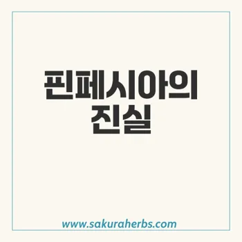 핀페시아의 효과와 위험성: 국산약과의 비교와 진실