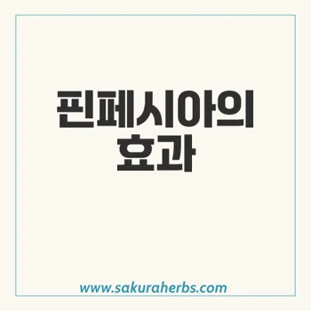 핀페시아: 탈모치료의 효과와 향상 방법을 알아보자