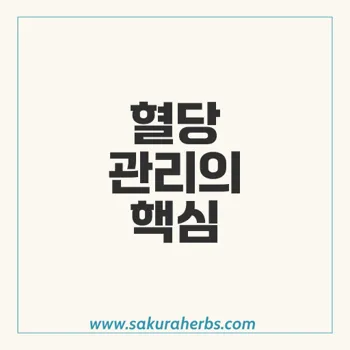 글리시파지 SR로 혈당 조절하는 스마트한 관리 방법