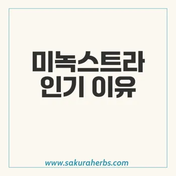 미녹스트라: 탈모인 필수품으로 떠오른 인기 제품