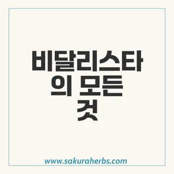 비달리스타: 효과적인 발기 부전 치료제 리뷰 및 사용법