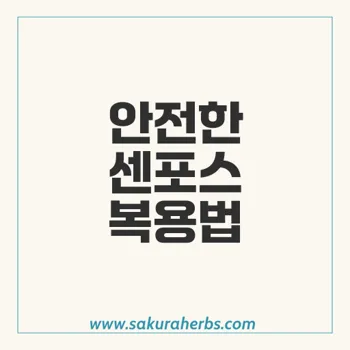 센포스: 인도산 비아그라 대안의 진실과 안전한 복용 방법