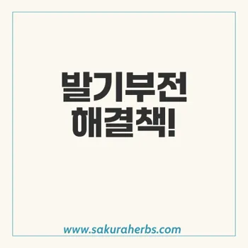 슈퍼 빌리트라: 발기부전과 조루 치료의 혁신적 조합