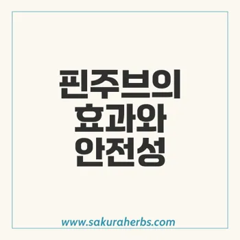 핀주브: 성인 남성의 남성형 탈모와 전립선 비대증 치료제 효과