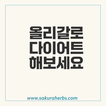 기름똥 다이어트 올리스타트 Orlistat 올리갈  후기 사쿠라허브에서 직구