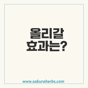 기름똥 다이어트 올리스타트 Orlistat 올리갈  후기 사쿠라허브에서 직구