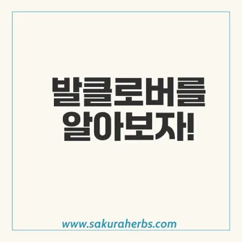 입술포진 치료 발라시클로버 Valacyclovir 발클로버 후기 사쿠라허브에서 직구