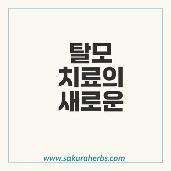 탈모 치료 필수 스피로노락톤 spironolactone 알닥톤  후기 사쿠라허브에서 직구