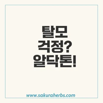 탈모 치료 필수 스피로노락톤 spironolactone 알닥톤 후기 사쿠라허브에서 직구